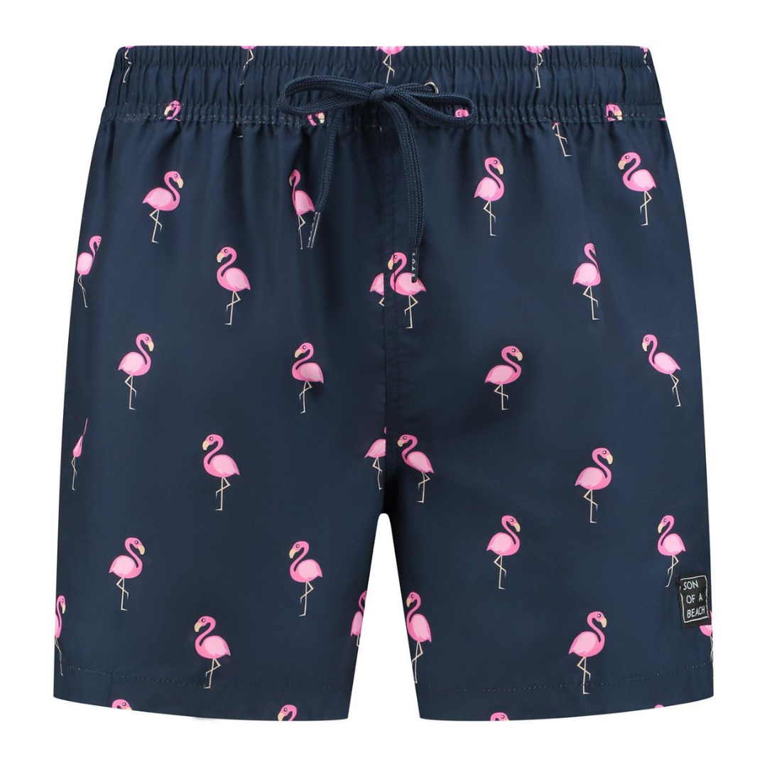 Flamingo, Blue, Boys Swim Shorts