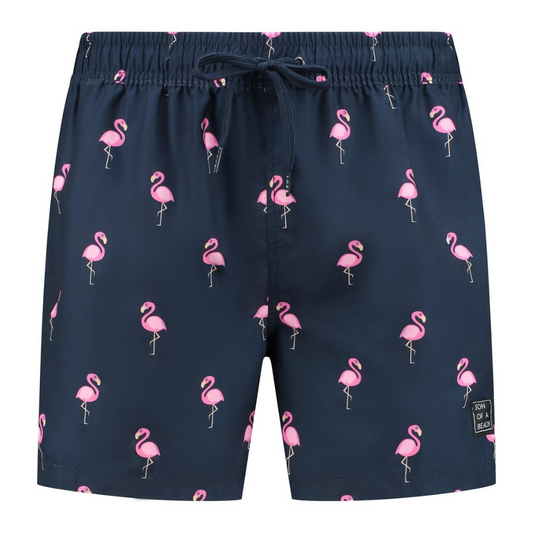 Flamingo, Blue, Boys Swim Shorts