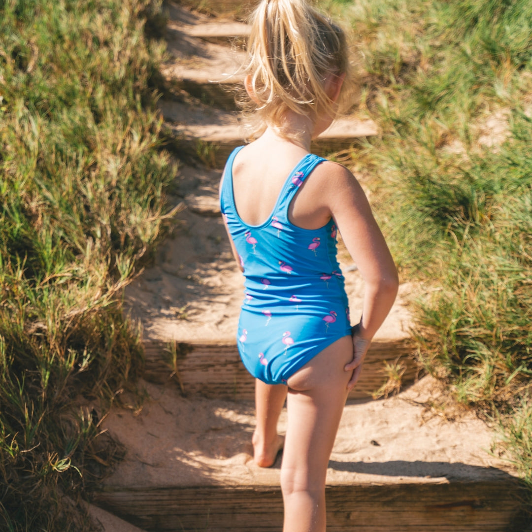 Flamingo, Royal Blue, Girls Swimsuit