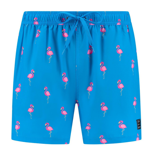 Flamingo, Royal Blue, Boys Swim Shorts