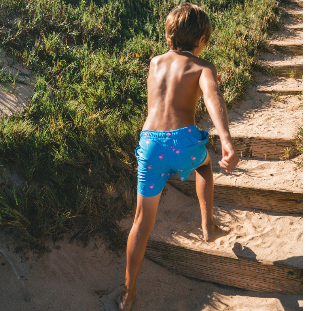 Flamingo, Royal Blue, Boys Swim Shorts