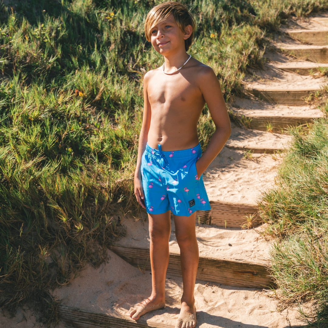 Flamingo, Royal Blue, Boys Swim Shorts