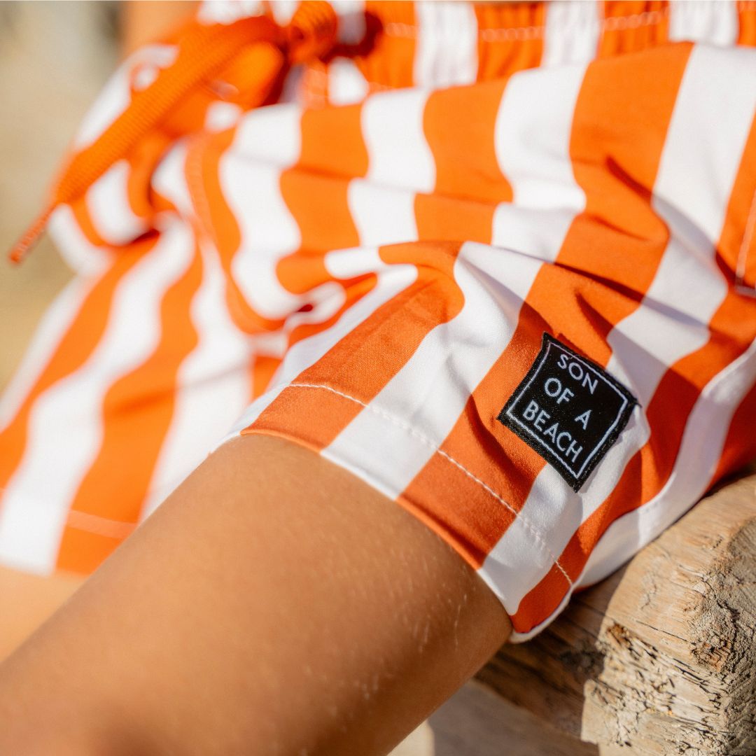 Striped, Brown, Boys Swim Trunks