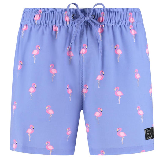 Flamingo, Purple, Boys Swim Shorts
