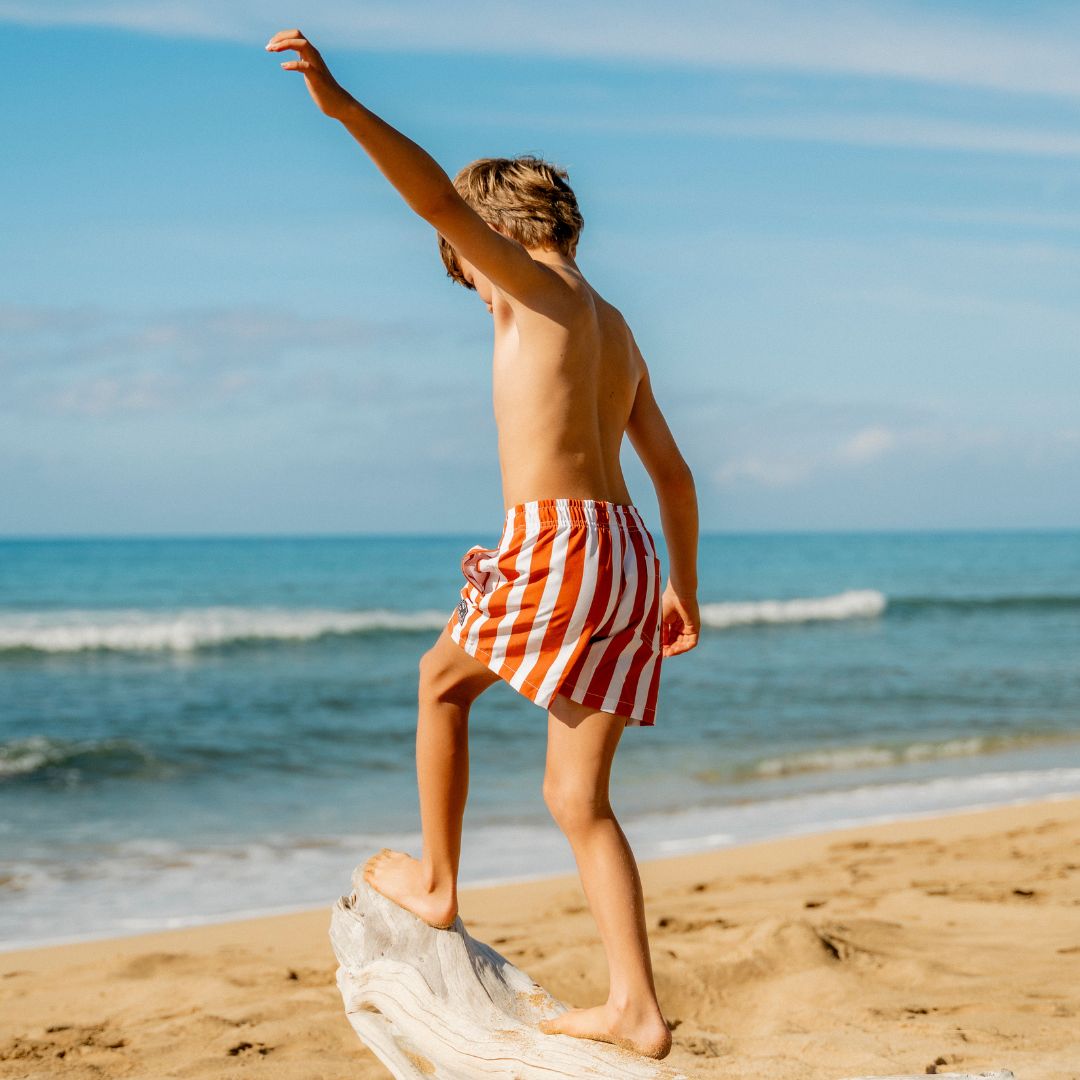 Striped, Brown, Boys Swim Trunks