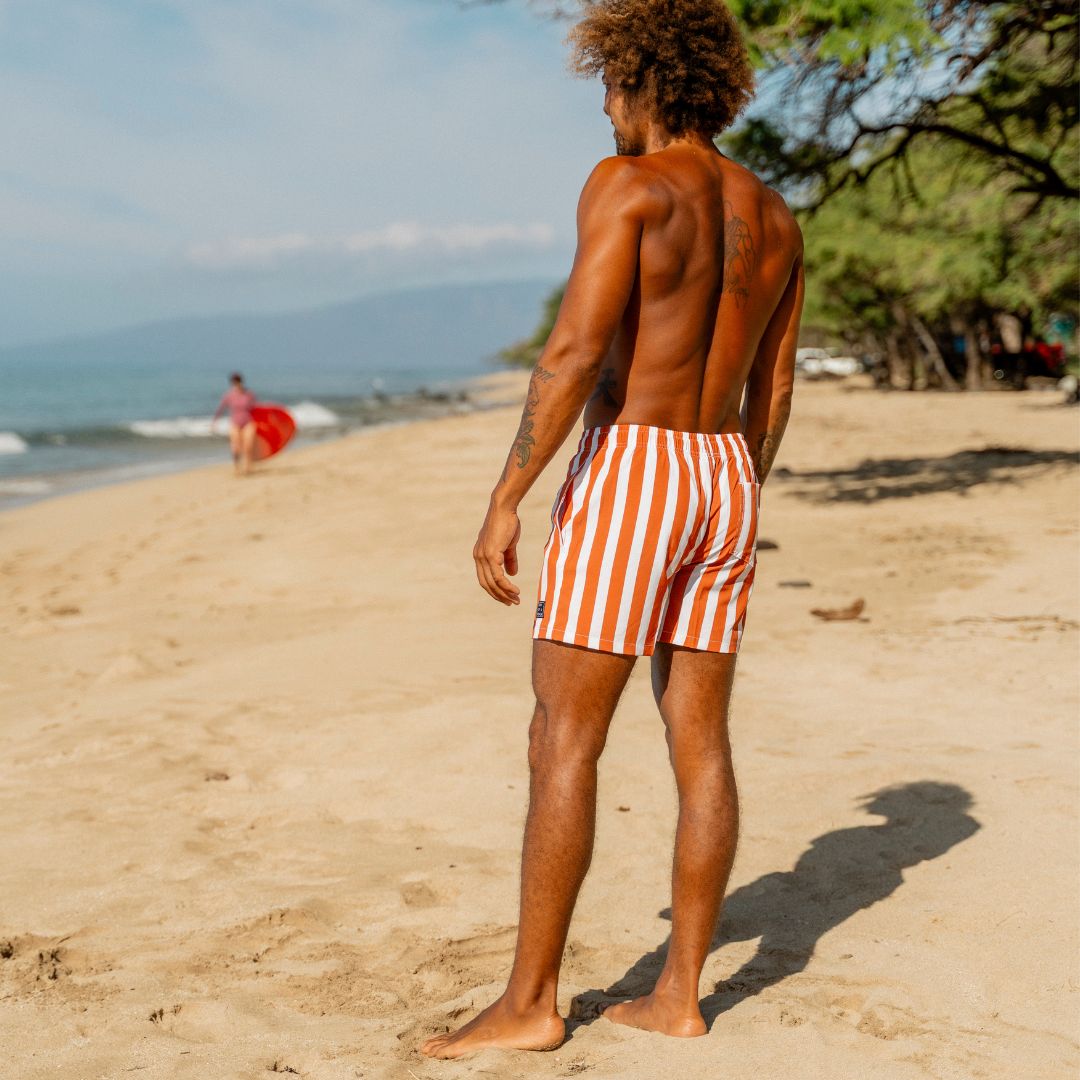 Striped, Brown, Father and son swim shorts