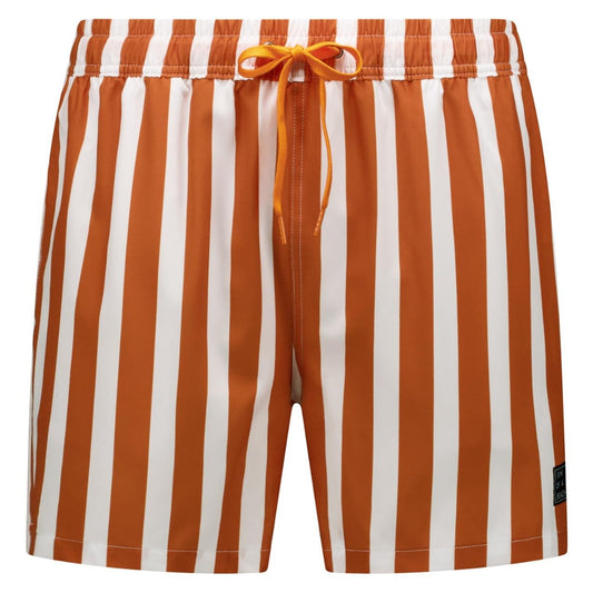 Striped, Brown, Men's swim trunks
