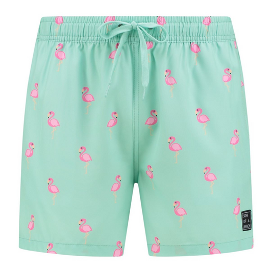 Flamingo, Green, Boys Swim Shorts