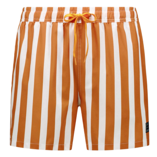 Striped, Brown, Men's swim trunks