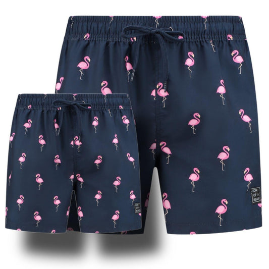 Flamingo, Blue, Father and son swim shorts
